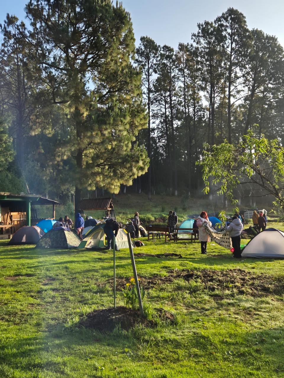 Convivencia en el campamento