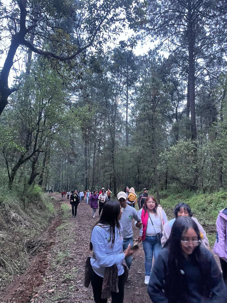 Caminata en el entorno natural