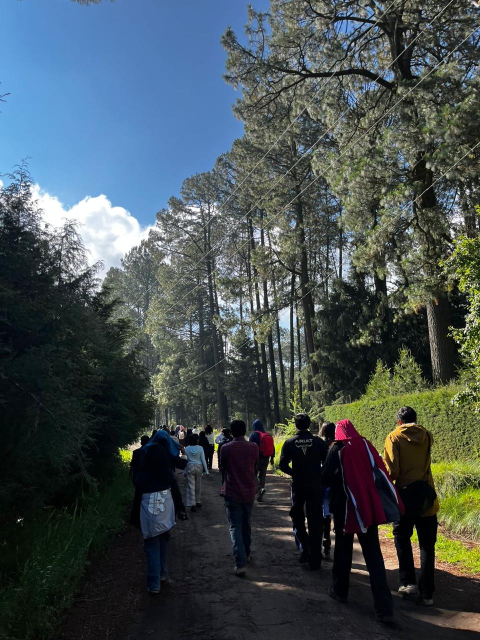 Recorrido de participantes por el bosque